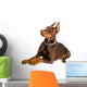 doberman isolated over white Wall Decal