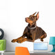 doberman isolated over white Wall Decal