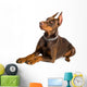 doberman isolated over white Wall Decal
