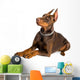 doberman isolated over white Wall Decal