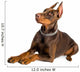 doberman isolated over white Wall Decal