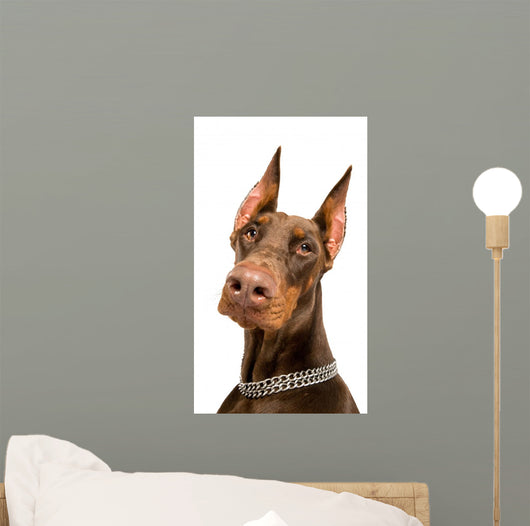 Doberman over White Wall Decal