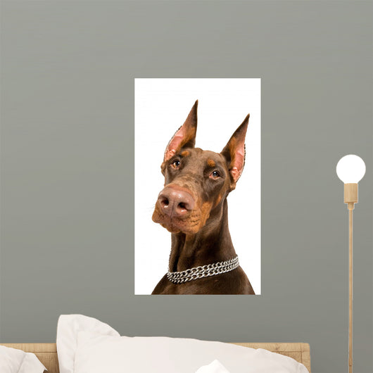 Doberman over White Wall Decal