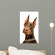 Doberman over White Wall Decal