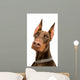 Doberman over White Wall Decal