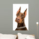 Doberman over White Wall Decal