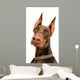 Doberman over White Wall Decal