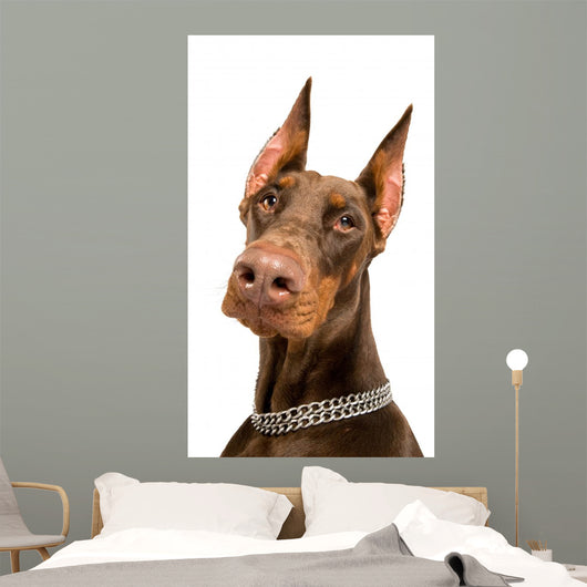 Doberman over White Wall Decal