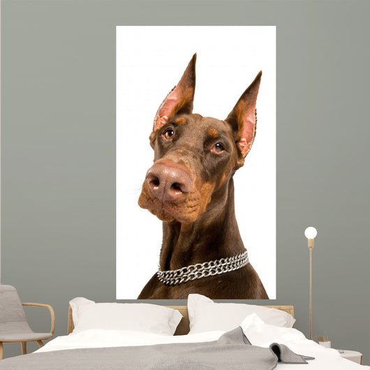 Doberman over White Wall Decal