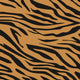 Wallpaper Animal Tiger
