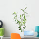Lucky Bamboo Wall Decal