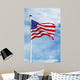 Waving American Flag Wall Mural