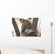 Koala Wall Mural