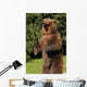 Ours Wall Mural