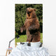 Ours Wall Mural