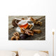 Spiced Tea-te Alle Spezie