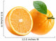 Ripe Orange and Its