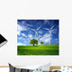 Ecological Direction Wall Decal