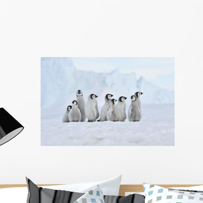 Emperor Penguin Wall Mural shown on a wall