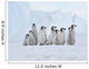 Emperor Penguin Wall Mural
