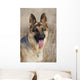german shepherd 2 Wall Mural