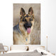 german shepherd 2 Wall Mural