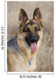 german shepherd 2 Wall Mural
