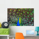 Blue Peacock Wall Decal
