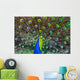 Blue Peacock Wall Decal