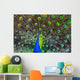 Blue Peacock Wall Decal
