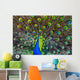 Blue Peacock Wall Decal