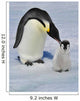 Emperor Penguin