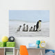 Emperor Penguin Wall Mural