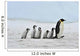 Emperor Penguin Wall Mural