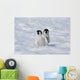 Emperor Penguin Wall Mural