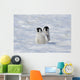 Emperor Penguin Wall Mural