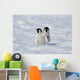 Emperor Penguin Wall Mural