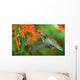 inflight hummingbird Wall Mural