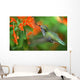 inflight hummingbird Wall Mural