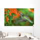 inflight hummingbird Wall Mural