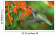 inflight hummingbird Wall Mural