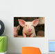 Cute Pig Wall Mural