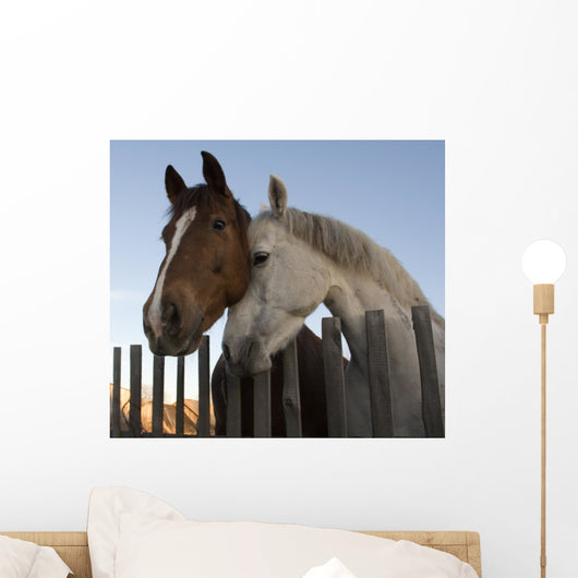 Horses Wall Mural