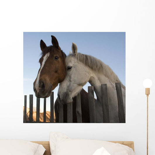 Horses Wall Mural