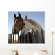 Horses Wall Mural
