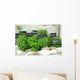 French herbs Wall Mural
