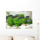 French herbs Wall Mural