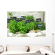 French herbs Wall Mural