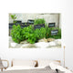 French herbs Wall Mural