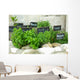 French herbs Wall Mural